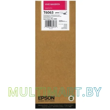 Картридж Epson C13T606300